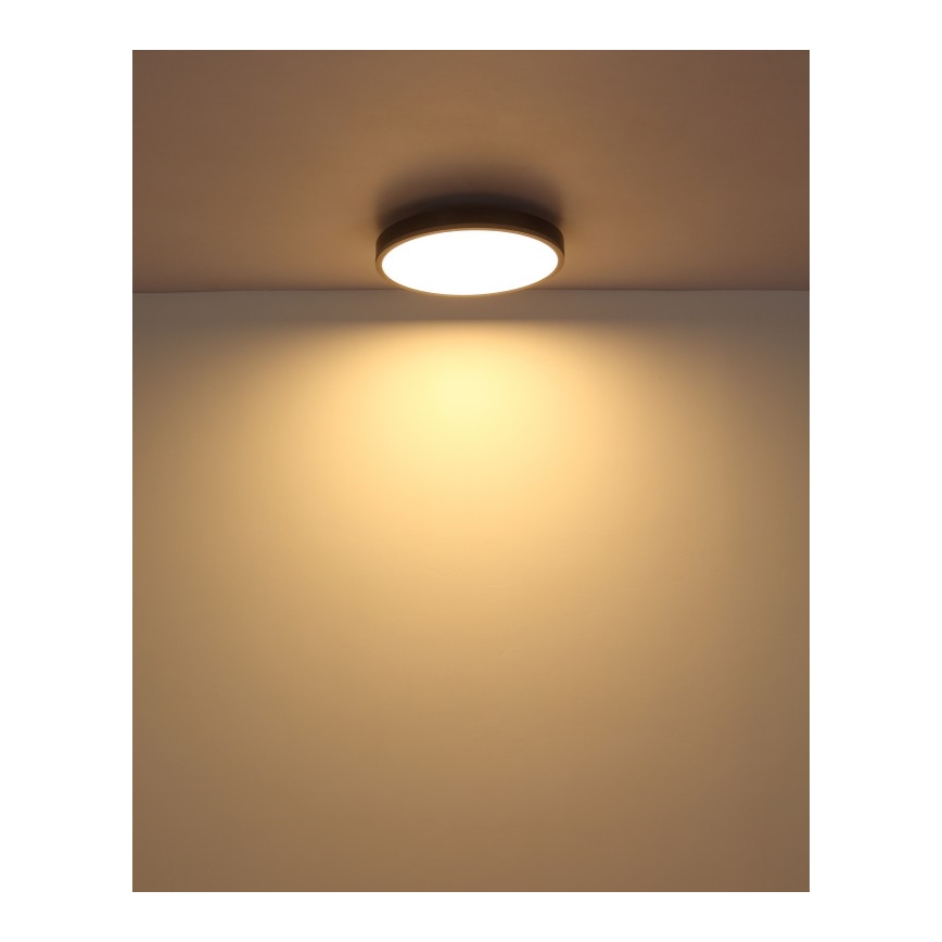 Globo - LED loftlampe LED/24W/230V 3000K diameter 45 cm