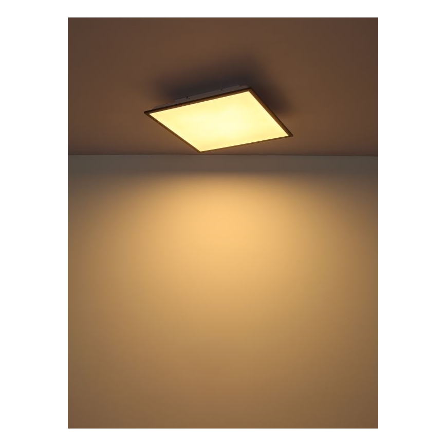 Globo - LED loftsbelysning LED/24W/230V