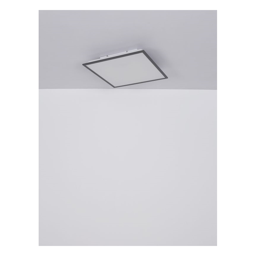 Globo - LED loftsbelysning LED/24W/230V