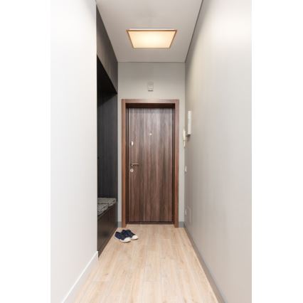 Globo - LED loftlampe LED/24W/230V
