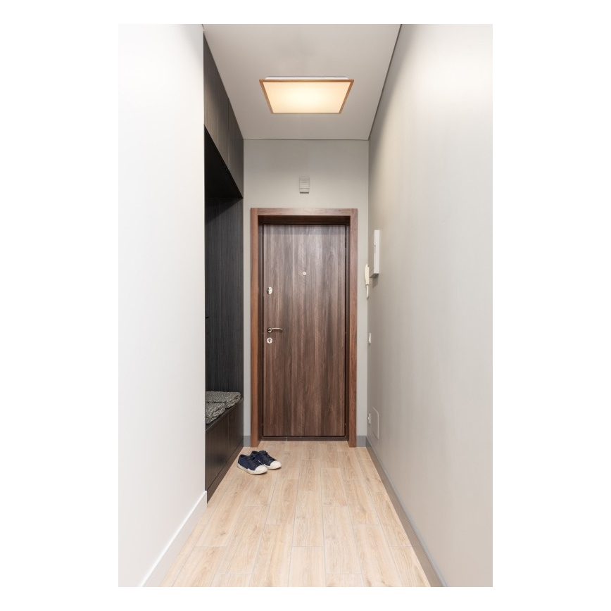 Globo - LED loftlampe LED/24W/230V