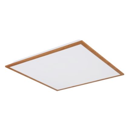 Globo - LED loftlampe LED/24W/230V