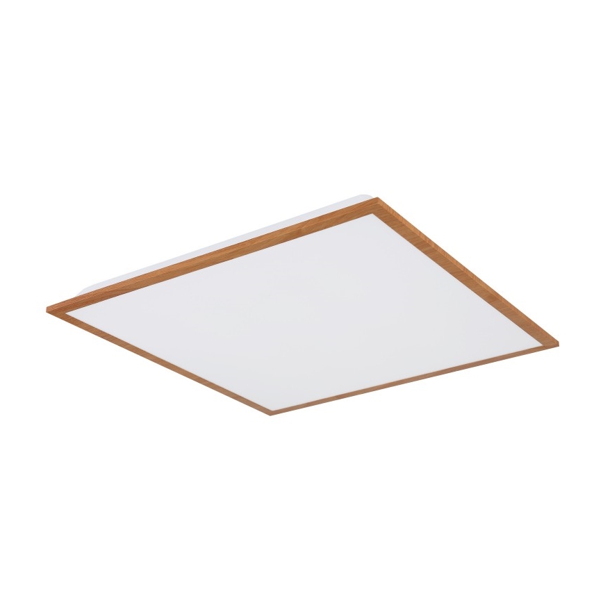 Globo - LED loftlampe LED/24W/230V