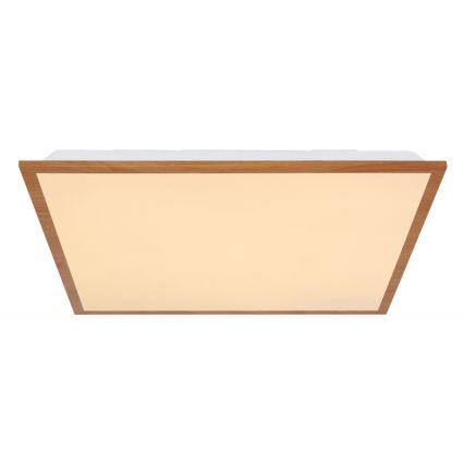 Globo - LED loftlampe LED/24W/230V