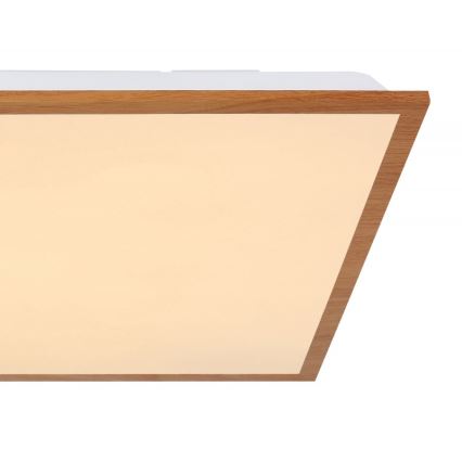 Globo - LED loftlampe LED/24W/230V