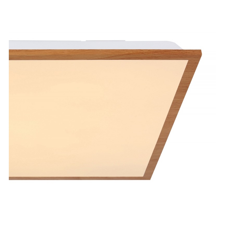 Globo - LED loftlampe LED/24W/230V