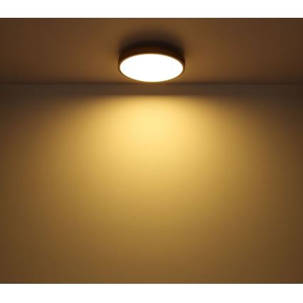 Globo - LED loftlampe LED/12W/230V diam. 30 cm