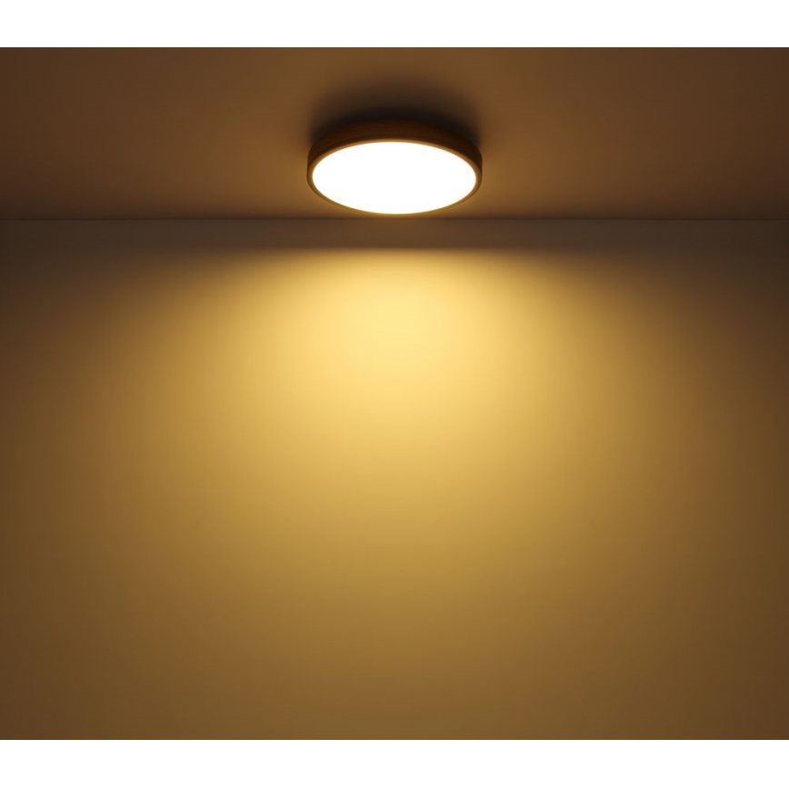 Globo - LED loftlampe LED/12W/230V diam. 30 cm