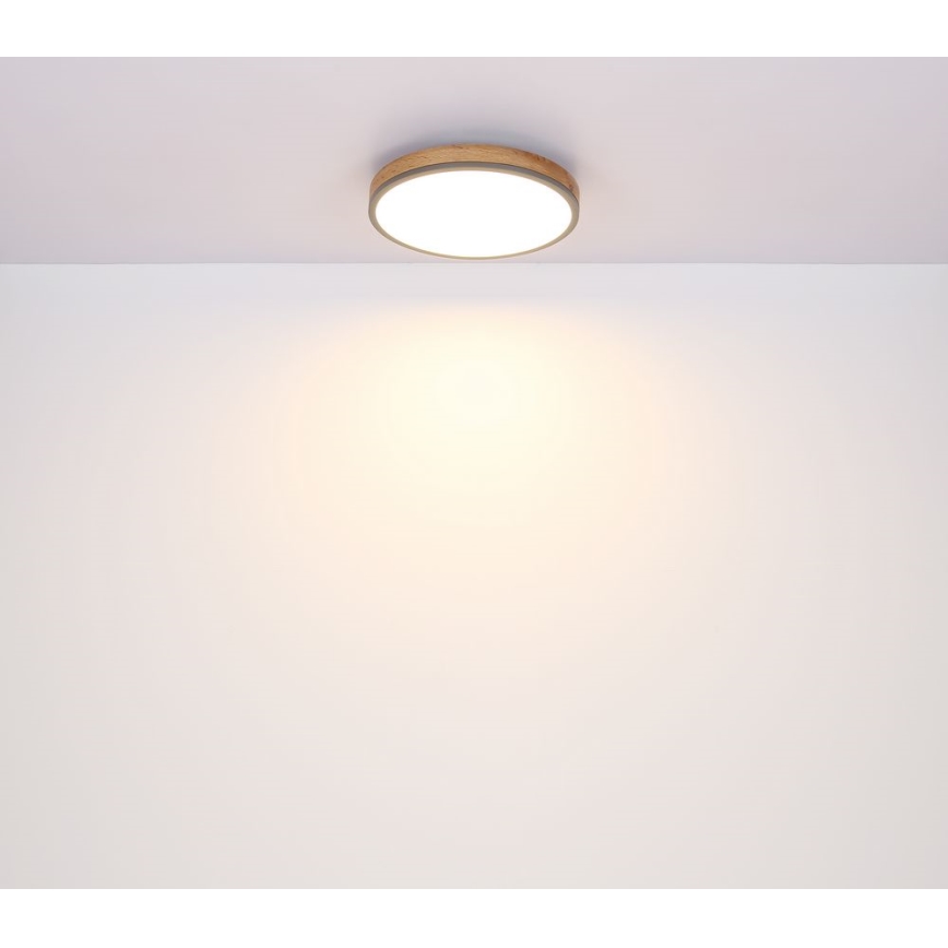 Globo - LED loftlampe LED/12W/230V diam. 30 cm