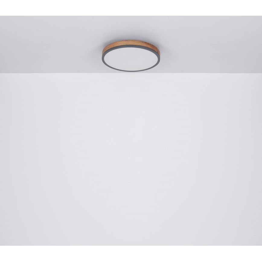 Globo - LED loftlampe LED/12W/230V diam. 30 cm