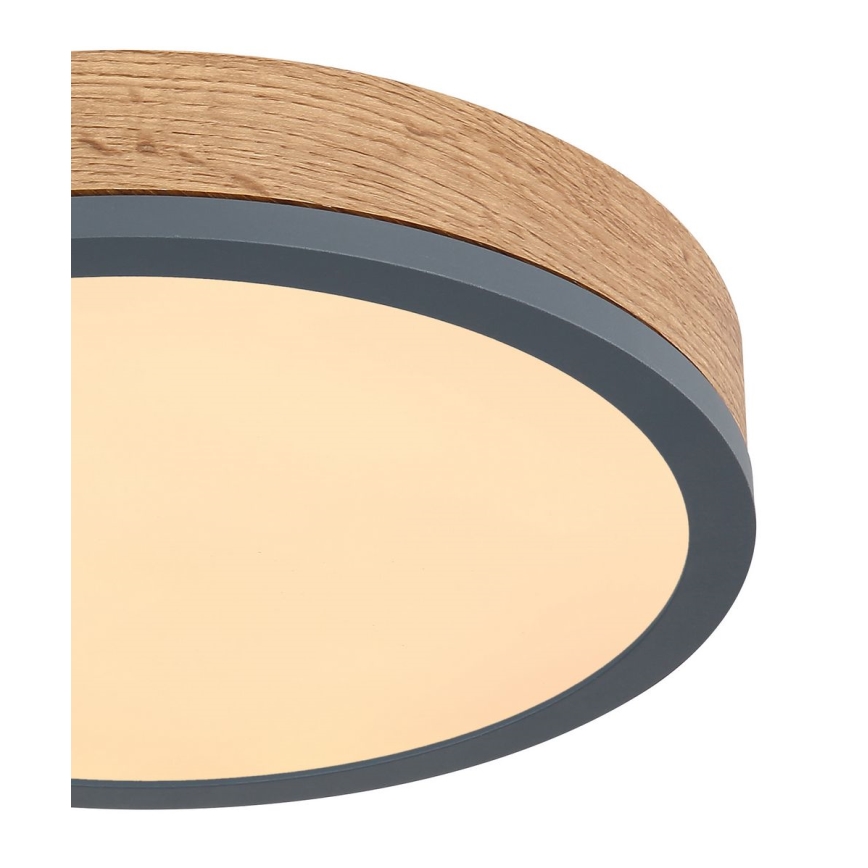 Globo - LED loftlampe LED/12W/230V diam. 30 cm