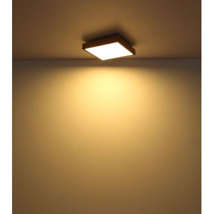 Globo - Dæmpbar LED-loftlampe LED/24W/230V 3000-6500K 45x45 cm