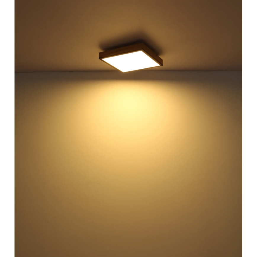 Globo - Dæmpbar LED-loftlampe LED/24W/230V 3000-6500K 45x45 cm