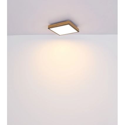 Globo - Dæmpbar LED-loftlampe LED/24W/230V 3000-6500K 45x45 cm