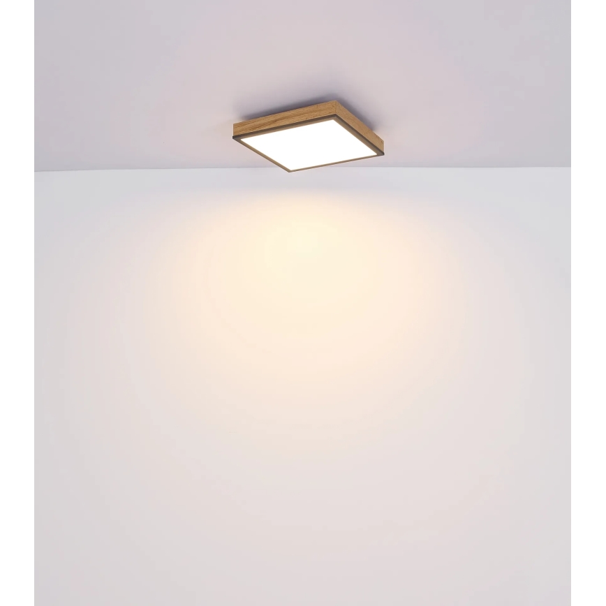 Globo - Dæmpbar LED-loftlampe LED/24W/230V 3000-6500K 45x45 cm
