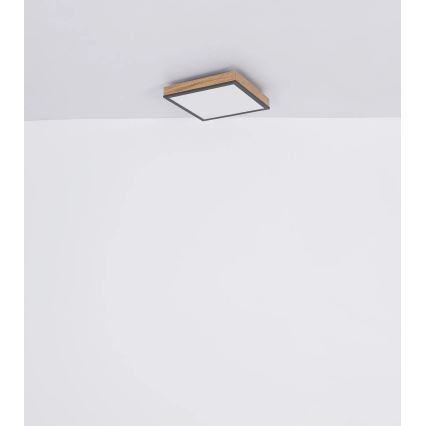 Globo - Dæmpbar LED-loftlampe LED/24W/230V 3000-6500K 45x45 cm