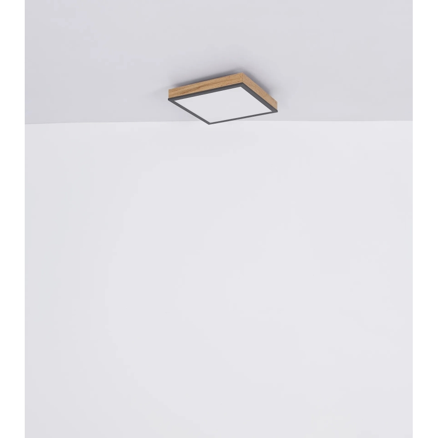 Globo - Dæmpbar LED-loftlampe LED/24W/230V 3000-6500K 45x45 cm