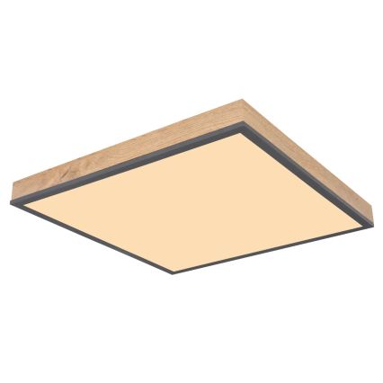 Globo - Dæmpbar LED-loftlampe LED/24W/230V 3000-6500K 45x45 cm