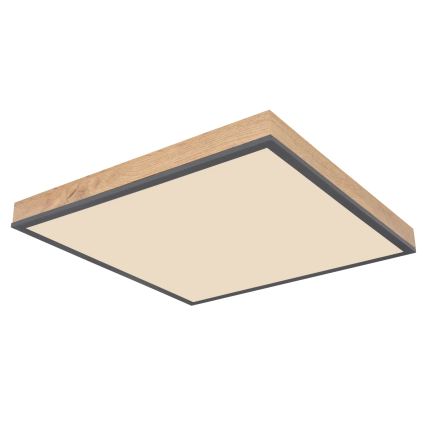 Globo - Dæmpbar LED-loftlampe LED/24W/230V 3000-6500K 45x45 cm