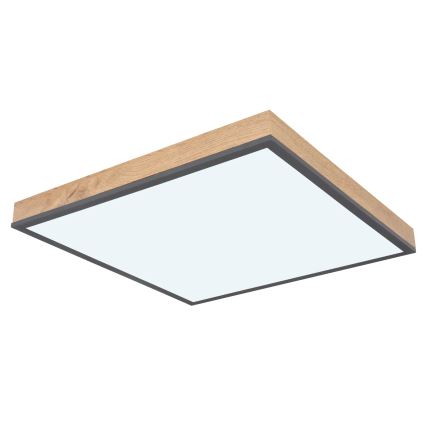 Globo - Dæmpbar LED-loftlampe LED/24W/230V 3000-6500K 45x45 cm