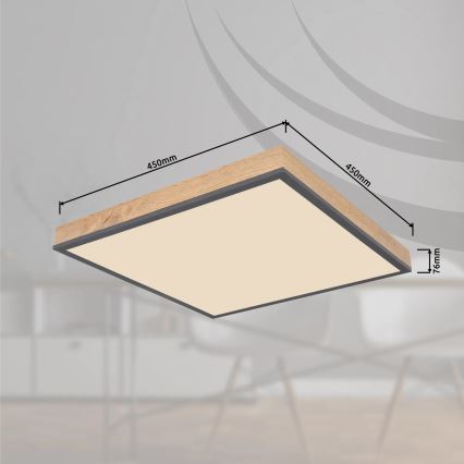Globo - Dæmpbar LED-loftlampe LED/24W/230V 3000-6500K 45x45 cm