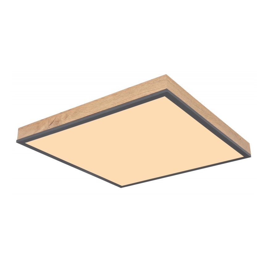 Globo - LED loftlampe LED/24W/230V