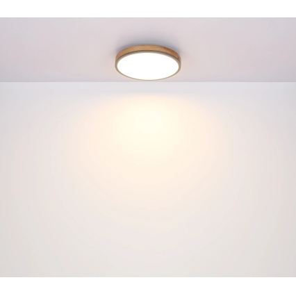 Globo - Dæmpbar LED-loftlampe LED/24W/230V 2700-6500K Ø 45 cm