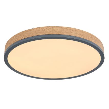 Globo - Dæmpbar LED-loftlampe LED/24W/230V 2700-6500K Ø 45 cm