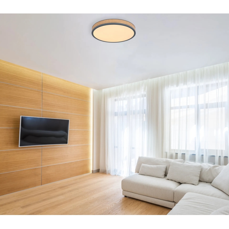 Globo - Dæmpbar LED-loftlampe LED/24W/230V 3000-6500K Ø 45 cm