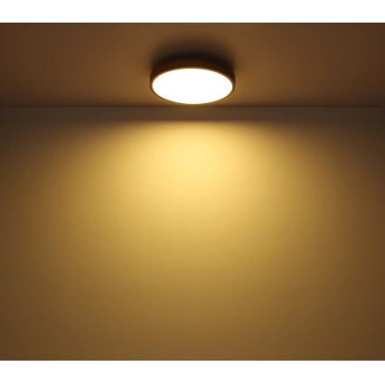 Globo - Dæmpbar LED-loftlampe LED/24W/230V 3000-6500K Ø 45 cm