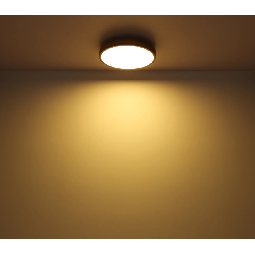 Globo - Dæmpbar LED-loftlampe LED/24W/230V 3000-6500K Ø 45 cm