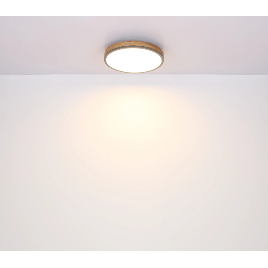 Globo - Dæmpbar LED-loftlampe LED/24W/230V 3000-6500K Ø 45 cm