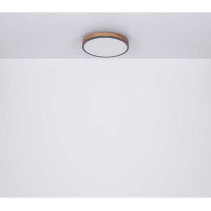 Globo - Dæmpbar LED-loftlampe LED/24W/230V 3000-6500K Ø 45 cm