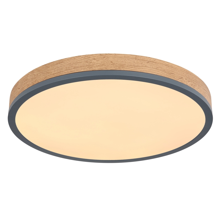 Globo - Dæmpbar LED-loftlampe LED/24W/230V 3000-6500K Ø 45 cm