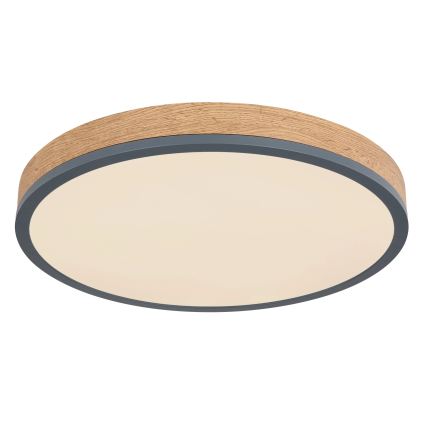 Globo - Dæmpbar LED-loftlampe LED/24W/230V 3000-6500K Ø 45 cm