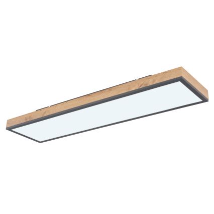 Globo - LED loftlampe dæmpbar LED/24W/230V 2700-6500K + fjernbetjening