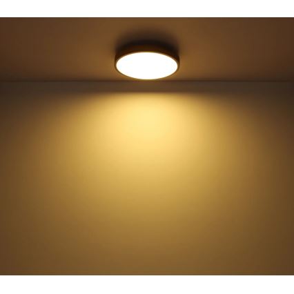 Globo - LED loftlampe dæmpbar LED/40W/230V 2700-6500K diameter 60 cm + fjernbetjening brun/grå