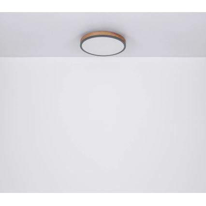 Globo - LED loftlampe dæmpbar LED/40W/230V 2700-6500K diameter 60 cm + fjernbetjening brun/grå
