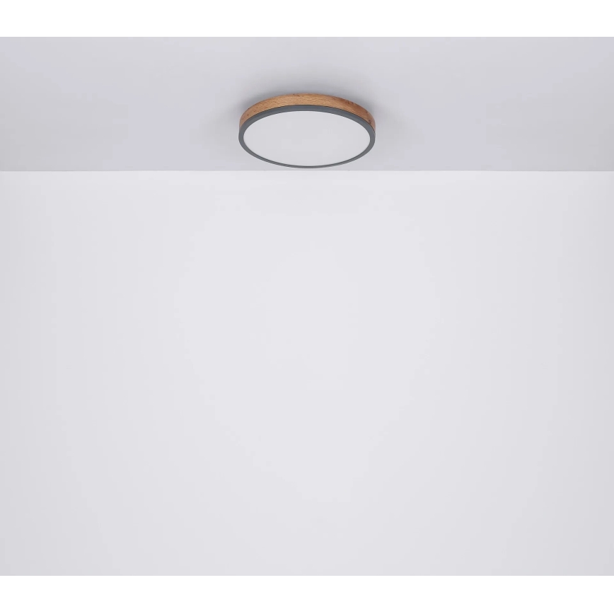 Globo - LED loftlampe dæmpbar LED/40W/230V 2700-6500K diameter 60 cm + fjernbetjening brun/grå