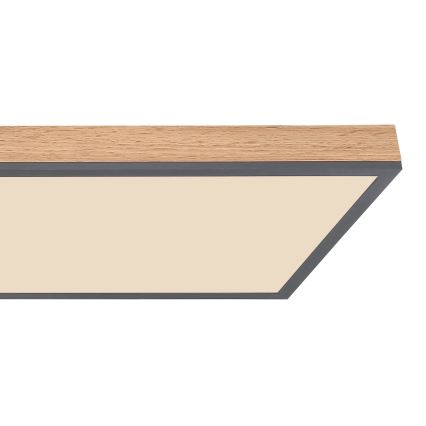 Globo - Dæmpbar LED-loftlampe LED/36W/230V 2700-6500K brun/grå + fjernbetjening