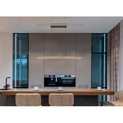 Globo - LED, dæmpbar berøringsbetjent pendel med wireophæng LED/18W/230V 3000K