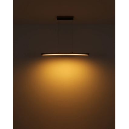 Globo - LED, dæmpbar berøringsbetjent pendel med wireophæng LED/18W/230V 3000K