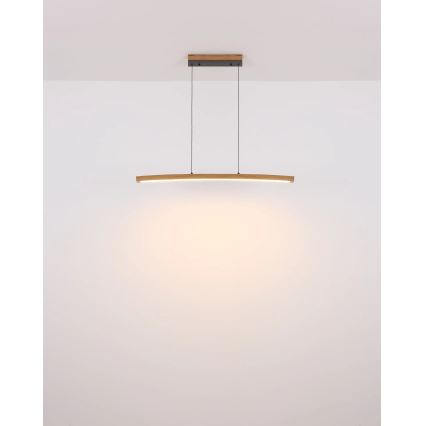 Globo - LED, dæmpbar berøringsbetjent pendel med wireophæng LED/18W/230V 3000K