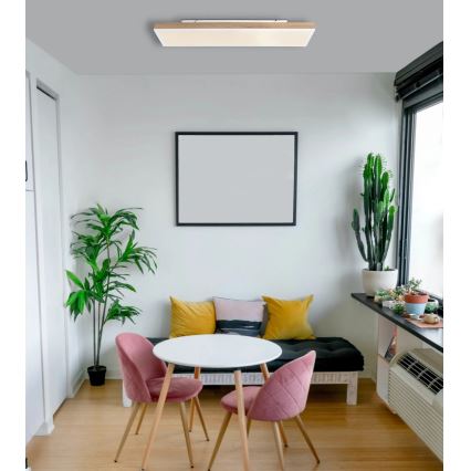 Globo - Dæmpbar LED-loftlampe LED/24W/230V 2700-6500K 20x80 cm + fjernbetjening