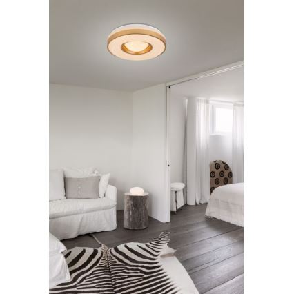 Globo - LED loftlampe LED/24W/230V