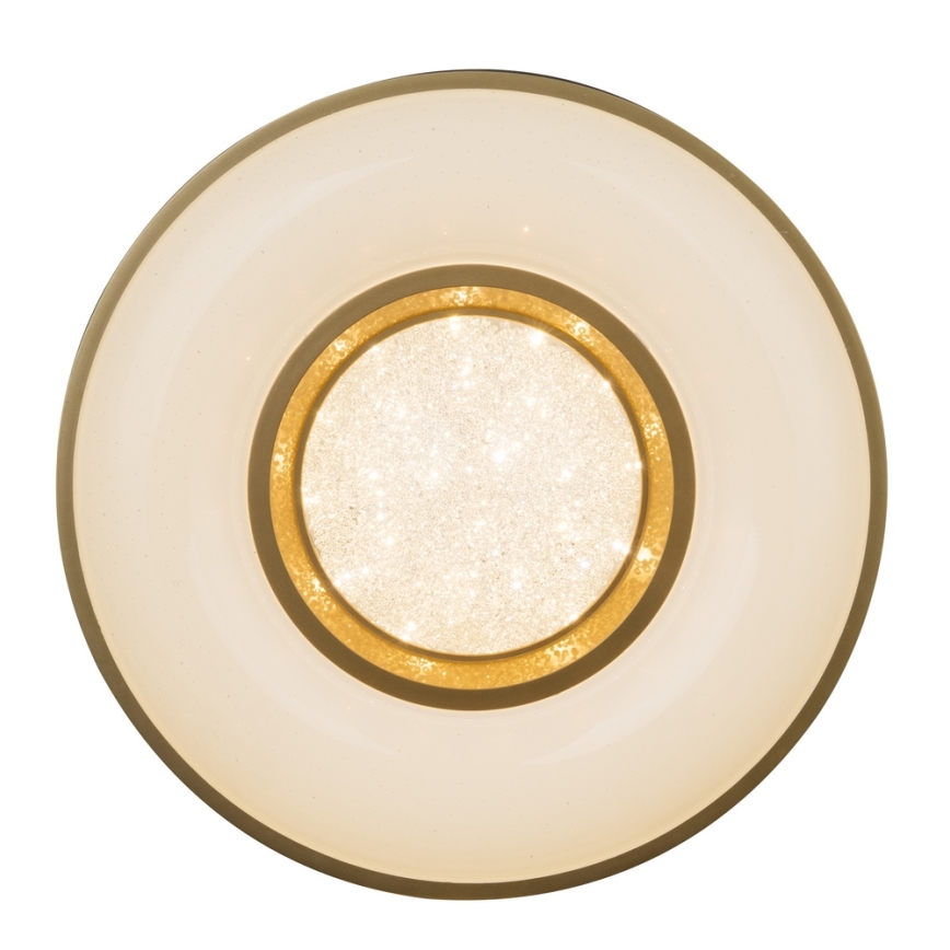 Globo - LED loftlampe LED/24W/230V