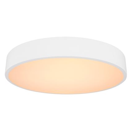 Globo - LED loftlampe dæmpbar LED/24W/230V 3000-6000K + fjernbetjening