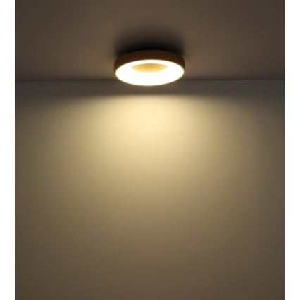 Globo - LED loftlampe dæmpbar LED/30W/230V + fjernbetjening