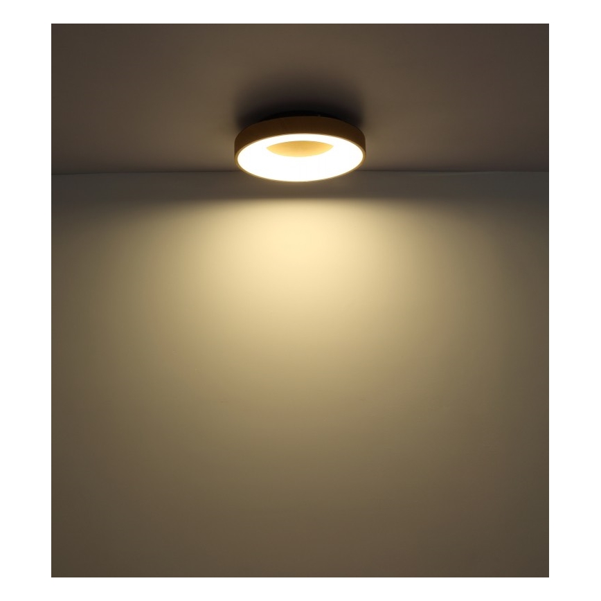 Globo - LED loftlampe dæmpbar LED/30W/230V + fjernbetjening