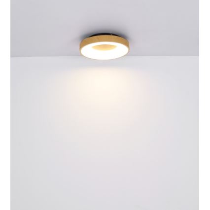 Globo - LED loftlampe dæmpbar LED/30W/230V + fjernbetjening
